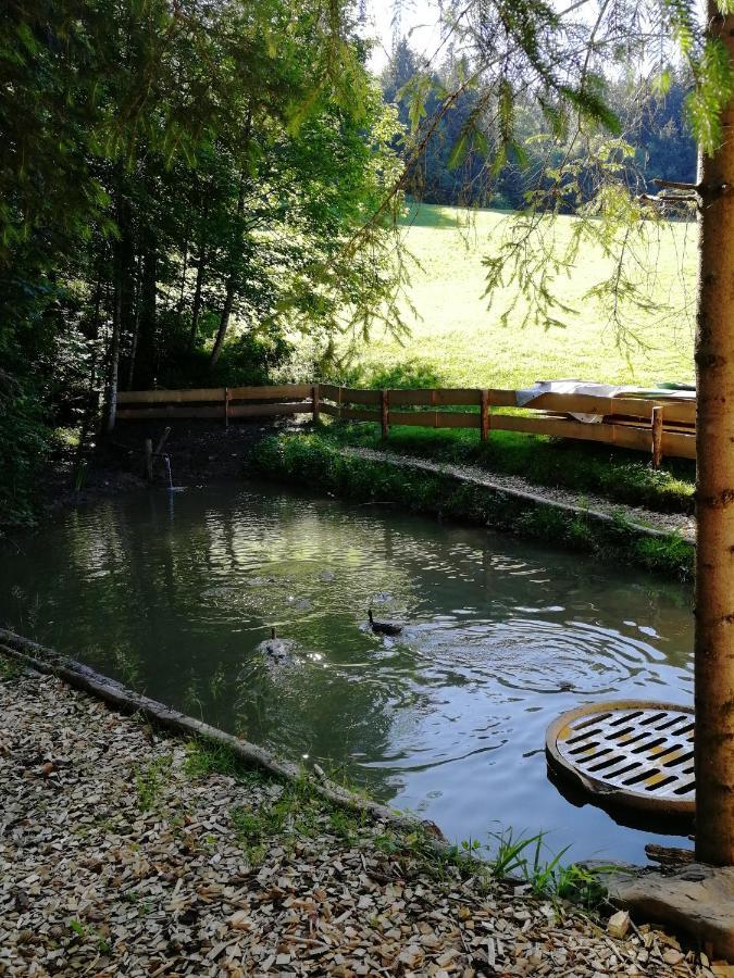 Ferienhaus Am Waldrand Von Egg Bregenzer Wald Exteriör bild
