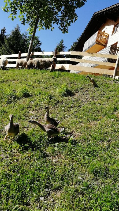 Ferienhaus Am Waldrand Von Egg Bregenzer Wald Exteriör bild