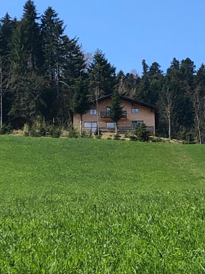 Ferienhaus Am Waldrand Von Egg Bregenzer Wald Exteriör bild