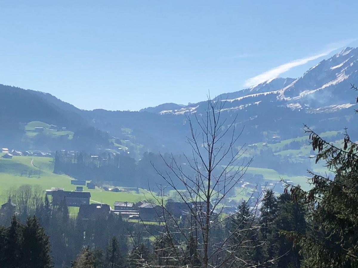 Ferienhaus Am Waldrand Von Egg Bregenzer Wald Exteriör bild