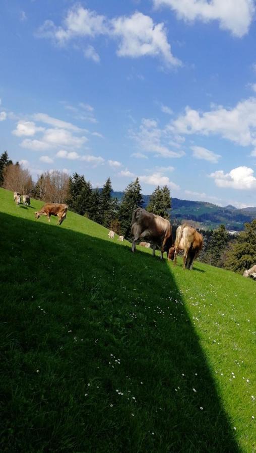 Ferienhaus Am Waldrand Von Egg Bregenzer Wald Exteriör bild